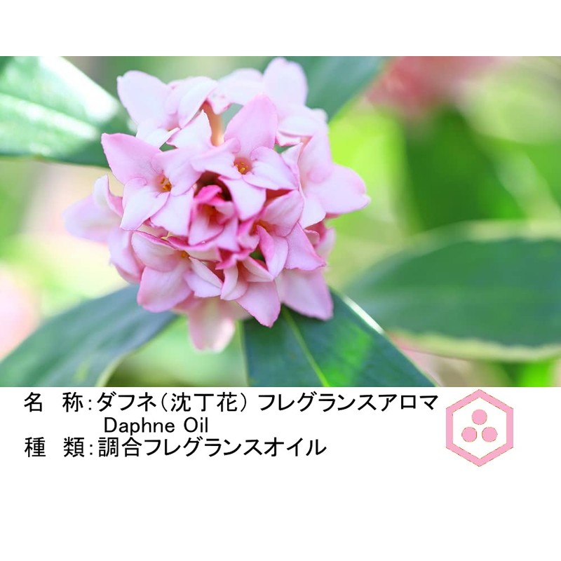 NOTO Daphne Daphne Aroma Oil, 0.2 fl oz (5 ml)