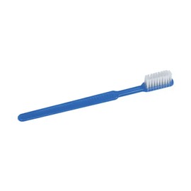 Ampri Handelsges. mbH Ampri 09592 Disposable Toothbrushes without Pasta Pack of 100 in Blue