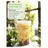 LOOMICA Decaf Jasmine Green Tea, Decaffeinated, Smooth & Refreshing Jasmine