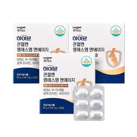 Highmune Joints MSM NAG 1100mg 3 Boxes (Total 3-Month Supply) / 하이뮨 관절엔 MSM NAG 1100mg 3박스 (총 3개월분)