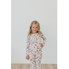 Copper Pearl Two Piece Long Sleeve Toddler Pajamas PJ Sets