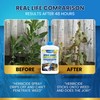 Adios! Spray Boost Surfactant for Herbicide and Weeds, Treats 400