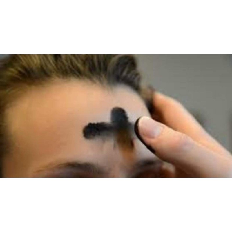 Trinity Church Supply Fresh Palm Ashes for Ash Wednesday Celebration