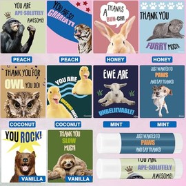 40 juegos de regalos de agradecimiento para enfermeras, regalo de agradecimiento a granel, regalo inspirador de animales, juego de palabras, bálsamo labial, tarjetas de notas, bolsa de organza