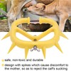 Cattle Nose Ring, Cow Nose Ring, Calf, Nose Ring, Plastic