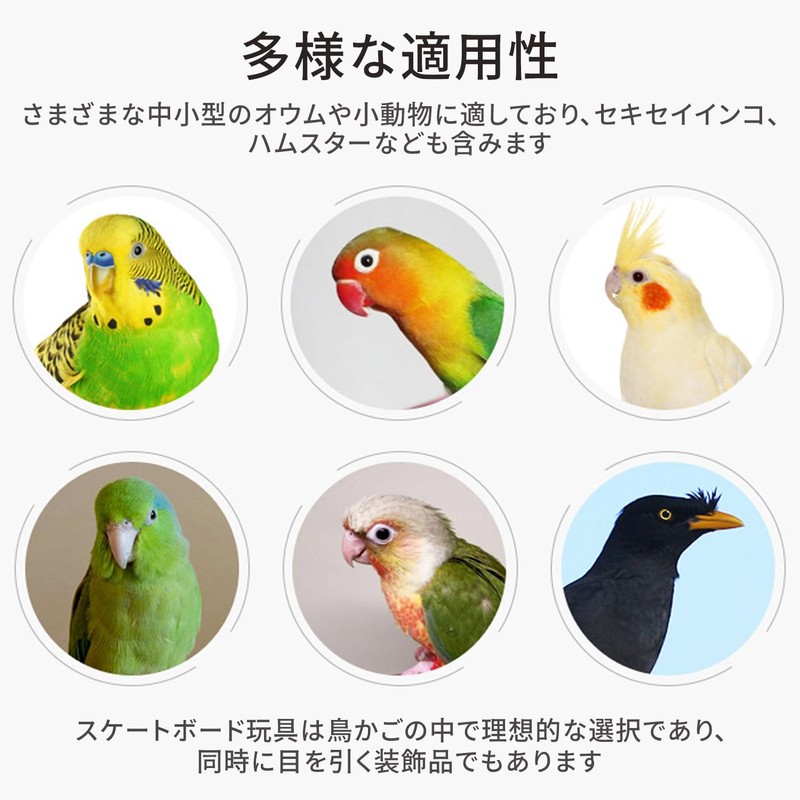 Mini Skateboard Bird Toy Pet Supplies Parrot Bird Standing Training