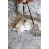 OurPet's Play-N-Squeak Teathered & Feathered Play Wand Cat Toy, for