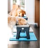Dexas Pets Adjustable Height Double Pet Feeder, Light Gray
