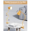 BOHON Clip on Light, 10W 38 LED Desk Lamp with
