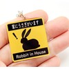 [SunAge] Rabbit in House Pictogram Funny Keychain Key Ring Acrylic