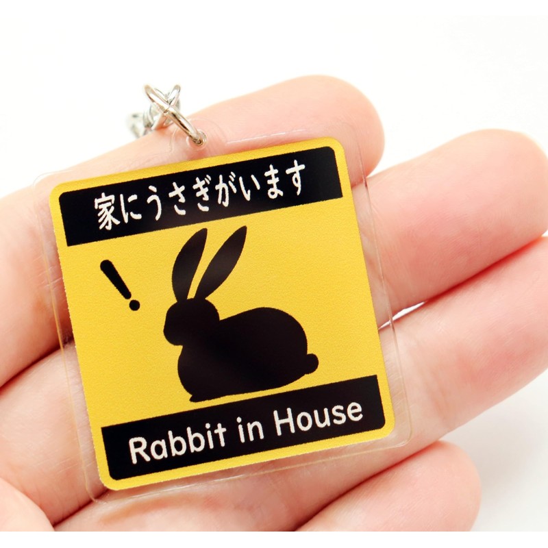 [SunAge] Rabbit in House Pictogram Funny Keychain Key Ring Acrylic