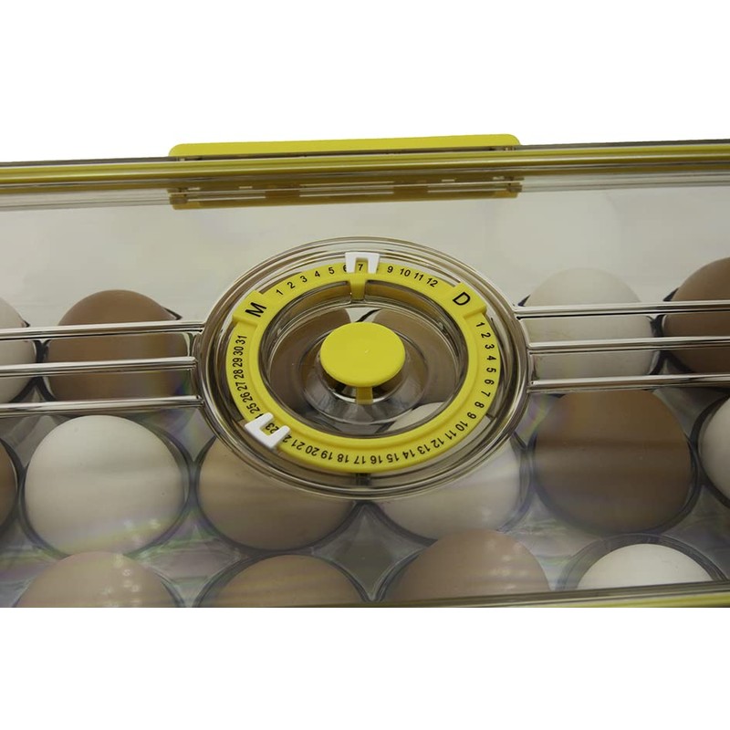Egg Box Safe Egg Container
