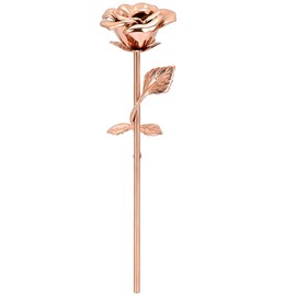 Rose Flower Keepsake Urns for Human Ashes - Memorials Urn Locket - Long-Stem Colorful Rose Flower Cremation Urns - Funeral Urn for Ashes Adult Cremation Keepsake for Ashes (Rose Gold-1)