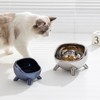 Cat Bowl Proper Height Mirror Safety Ceramic Stable Large Capacity