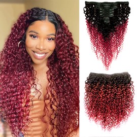 Curly Clip in Hair Extensions Brazilian Virgin Remy Hair Curly Clip (20", 99j curly)