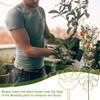 Plant Support Shrub Holder Plant Support Plant Support Plant Stem