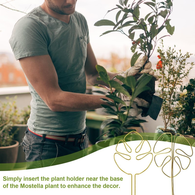 Plant Support Shrub Holder Plant Support Plant Support Plant Stem