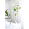 Small Glass Bud Vase Transparent Tapered Small Waist Thick Bottom