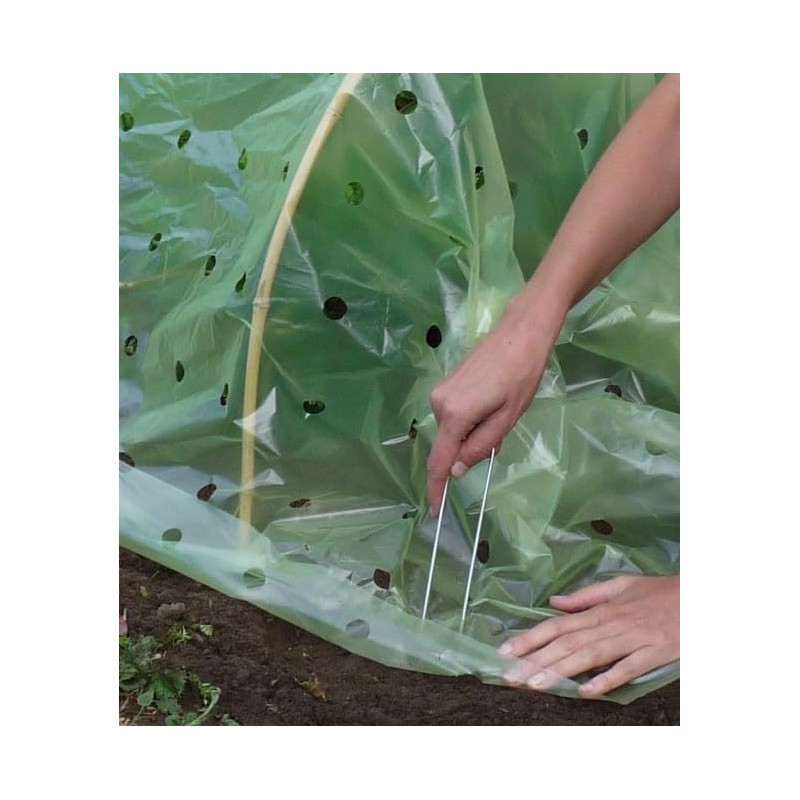 Haxnicks Glass Bell in Peg