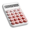 1-Pack Mechanical Switch Calculator with 10 Digits Large LCD Display,