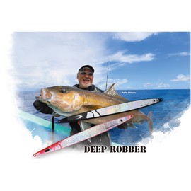 Nature Boys(ネイチャーボーイズ) メタルジグ ディープローバー DR1210 200mm 210g クマノミ ルアー DR1210-05K