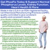 PhosFix 120 Pills Phosphorus Binder with Chitosan for Supporting Normal