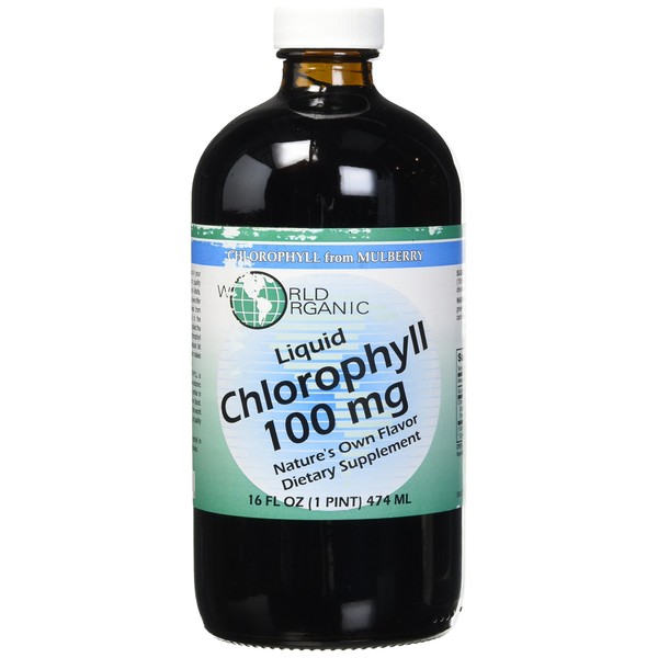 WORLD ORGANIC Liquid Chlorophyll 100mg Mullberry, 0.02 Pound
