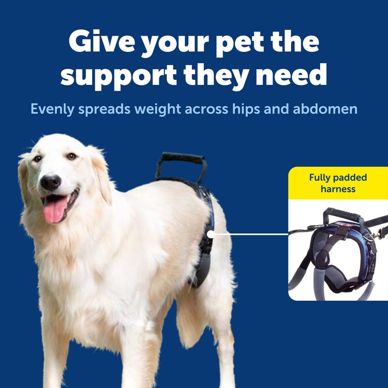 PetSafe CareLift Rear Support Harness - Lifting Aid with Handle