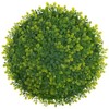 Hobby Lobby Boxwood Placemat- Set of 4