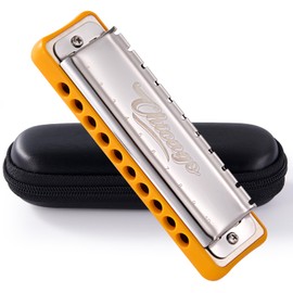 Harmonica JDR Blues Key of G 10 Holes 20 Tones Harps Armonica for Adults Kids Professional Beginners Mini Mouth Organ with Case Chicago