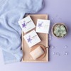 (Jangsaeng Bellflower) Face Soap (3 x 3 boxes) / (장생도라지)