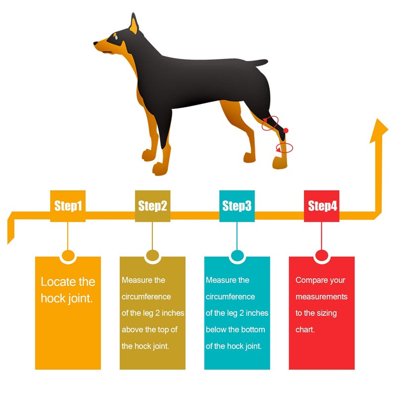 Dog Leg Brace One Pair Heals Hock Joint Wrap Sleeve