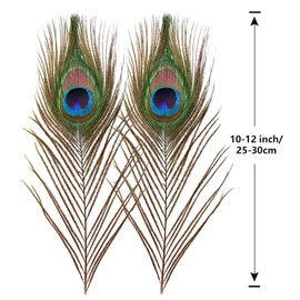 SendyFeather 30pcs Natural Peacock Feathers in Bulk 10-12inch for DIY Craft Wedding Flower Arrangement Christmas Day and Home Decoration