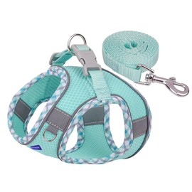 BTDCFY Step in Mesh Dog Harness and Leash Set Breathable Air Mesh Harness