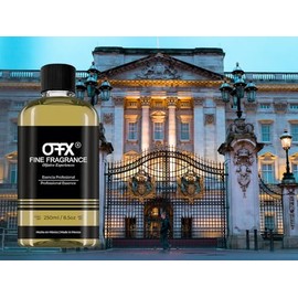 Fine Fragrance, Esencia ambiental profesional aroma The Palace de 250 ml, ideal para aromaterapia y difusores profesionales, eléctricos y con varas de