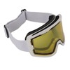 Anti Fog Ski Goggles UV Protection Adjustable Men Women Adult