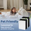 C545 True HEPA Replacement Filter S Compatible with Winix C545
