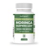 Nutripact Moringa Oleifera Capsules - 1800mg per Serving - Pure