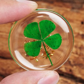 ANH3KT ANH3KT - 2 Pack Real Four Leaf Clover Good Luck Charm - Clover Pocket Token, Preserved, 1.25', Lucky Charm Clover For Family (Including Gold Leaf)