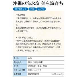 Okinawan Sea Salt Grown in Churaumi, 17.6 oz (500 g), 1 Bag with Uchinamun Seal