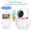 1080P HD WiFi IP Cloud Security Camera Wireless Penguin Shaped