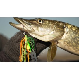Rapala - Fishing Bait Rap -V -Piked Bladed Jig Lockless Construction (Wismuth) - Lock Fresh Water Flow - Variable Swimming Depth - Size 10 cm / 21 g - Made in Estonia - Fire Tiger