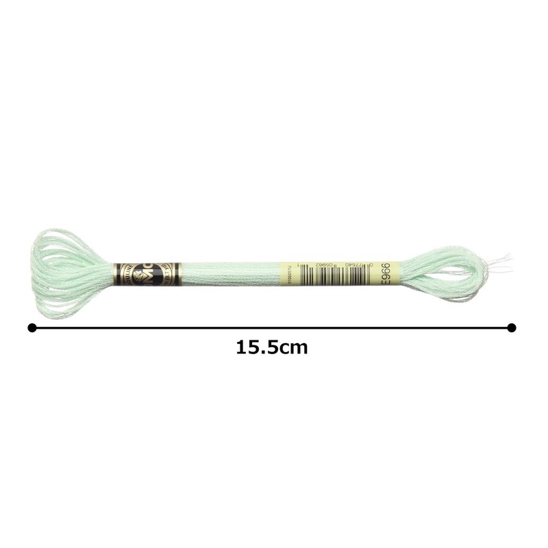 DMC 317W-E0966 Embroidery Floss Thread, Polyester E0966 Green 8 Metres