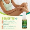 Aloe Life SG Mist Gel, 4 Ounce