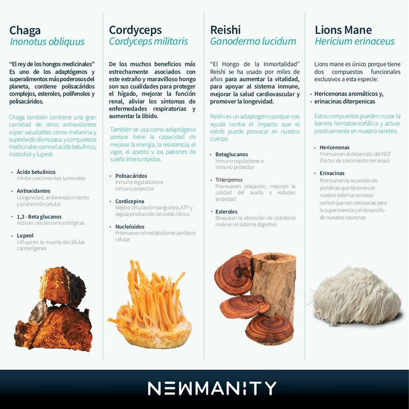 CHAGA POLVO | NEWMANITY | 30,000mg DOSIS | ANTI OXIDANTE
