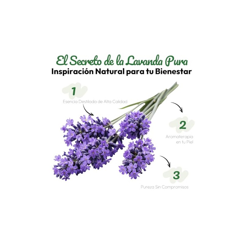 VERDORA Parches Aromáticos de Lavanda para Uso Externo, 18 Unidades