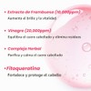 APIEU APieu Paquete de Enjuague y Recarga de Vinagre para