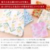 Noren Women's Cotton Handkerchief (Hand Printing) / Made in Japan,