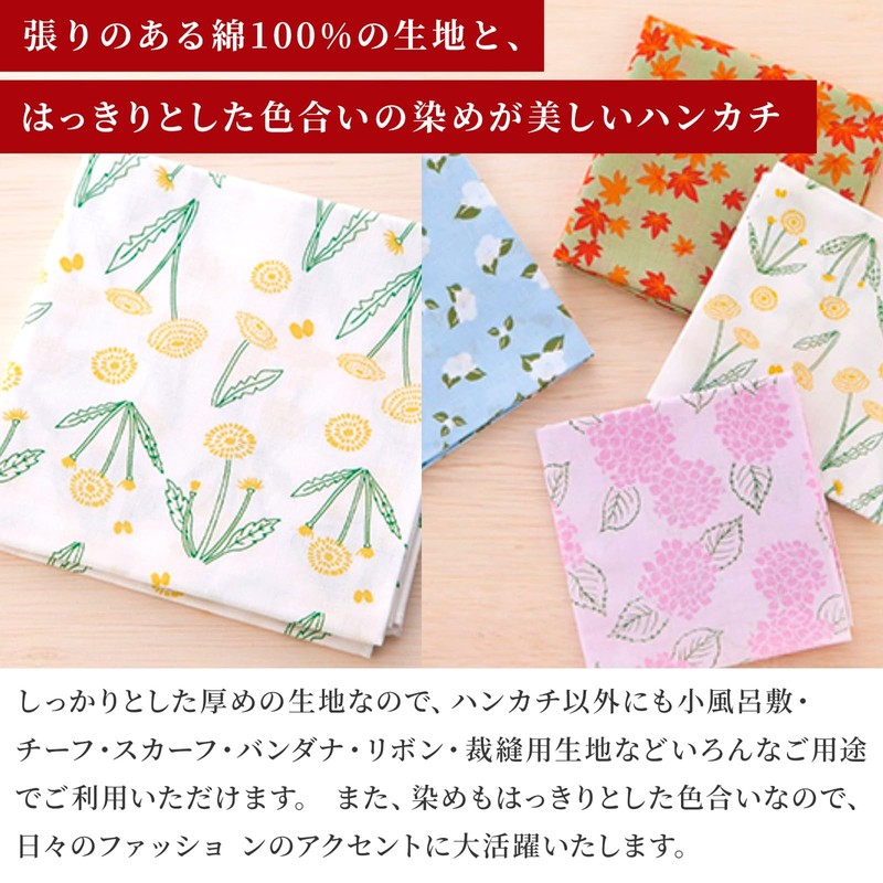 Noren Women's Cotton Handkerchief (Hand Printing) / Made in Japan,