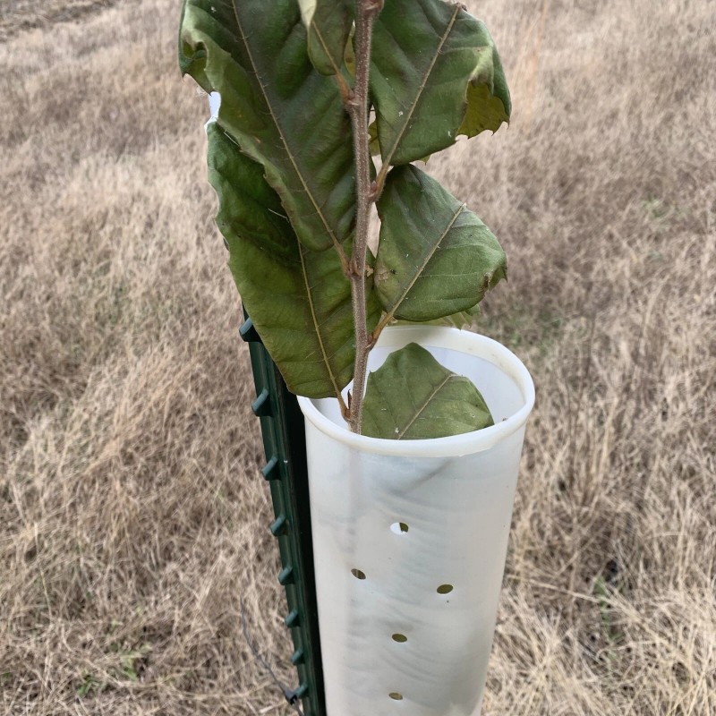 Tree Pro 5 USA Made 60" MIRACLE TUBE TREE PRO